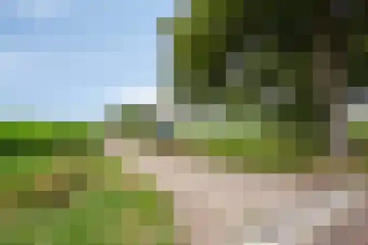 Kloosterdijk 116 Beerzerveld thumbnail 7