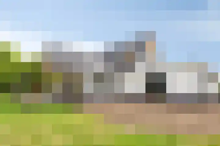 Kloosterdijk 116 Beerzerveld thumbnail 70