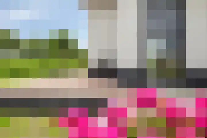 Kloosterdijk 116 Beerzerveld thumbnail 74
