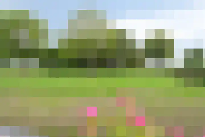 Kloosterdijk 116 Beerzerveld thumbnail 77