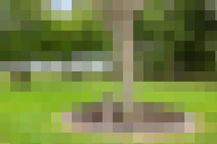 Kloosterdijk 116 Beerzerveld thumbnail 78