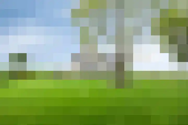 Kloosterdijk 116 Beerzerveld thumbnail 79