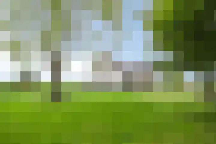 Kloosterdijk 116 Beerzerveld thumbnail 80