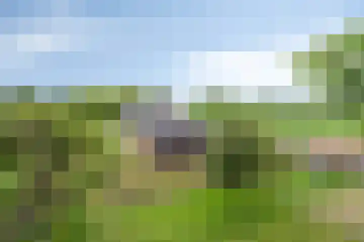 Kloosterdijk 116 Beerzerveld thumbnail 81