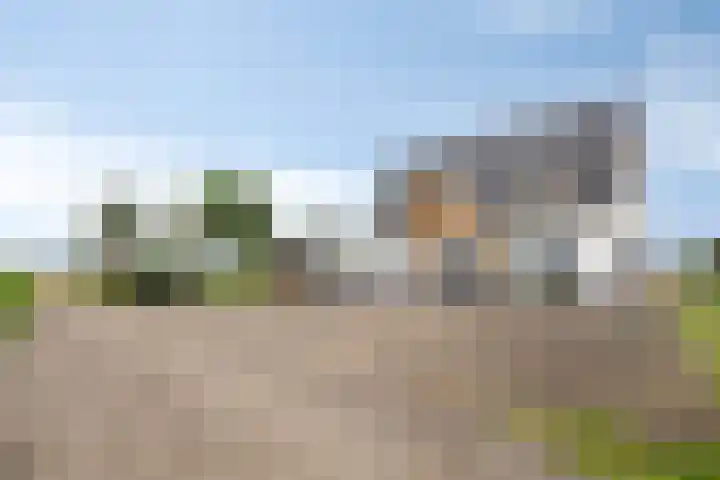 Kloosterdijk 116 Beerzerveld thumbnail 83