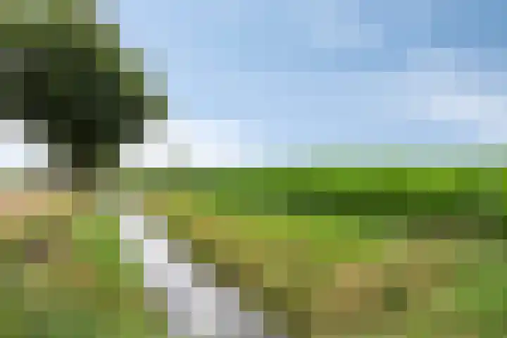 Kloosterdijk 116 Beerzerveld thumbnail 85