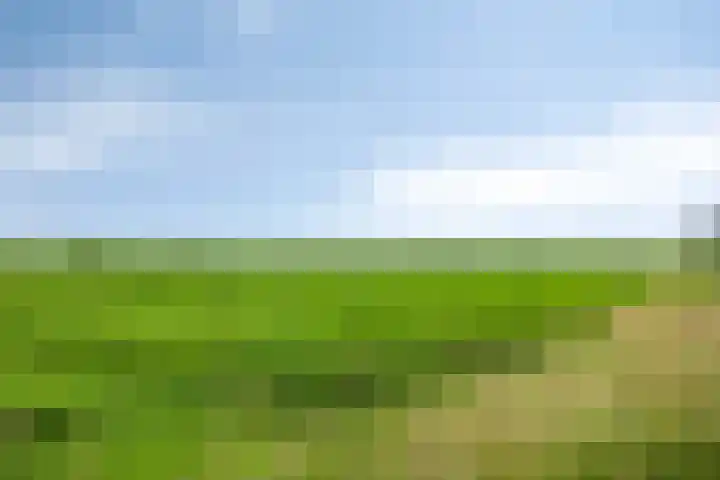 Kloosterdijk 116 Beerzerveld thumbnail 86