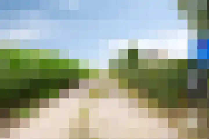 Kloosterdijk 116 Beerzerveld thumbnail 9