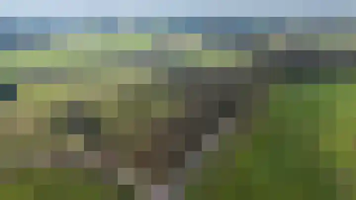 Kloosterdijk 4 A Aalten thumbnail 40