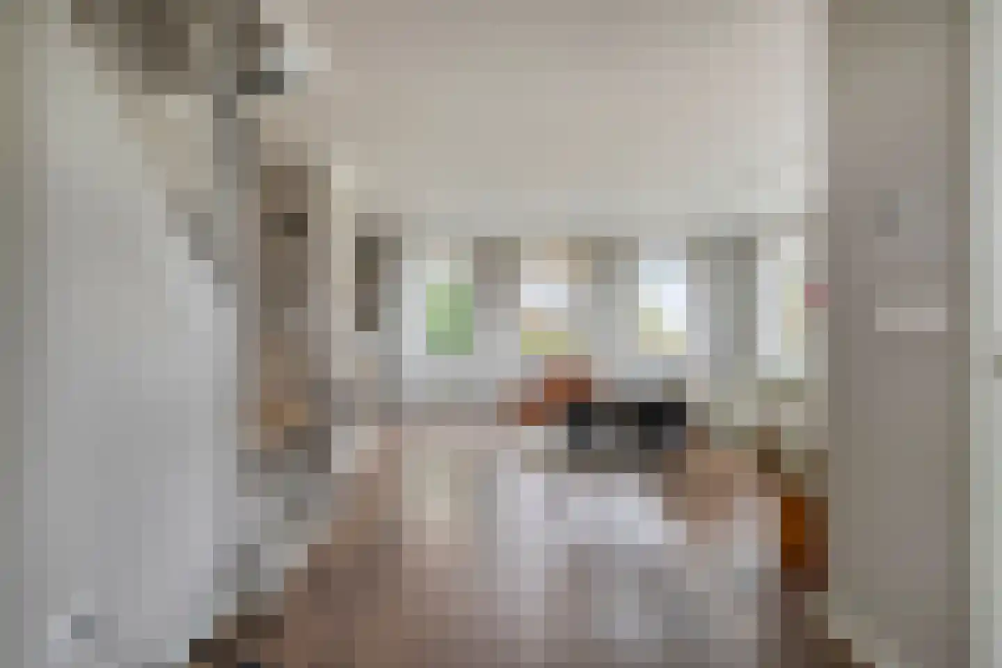 Kloosterdijk 8 F Monnickendam thumbnail 17