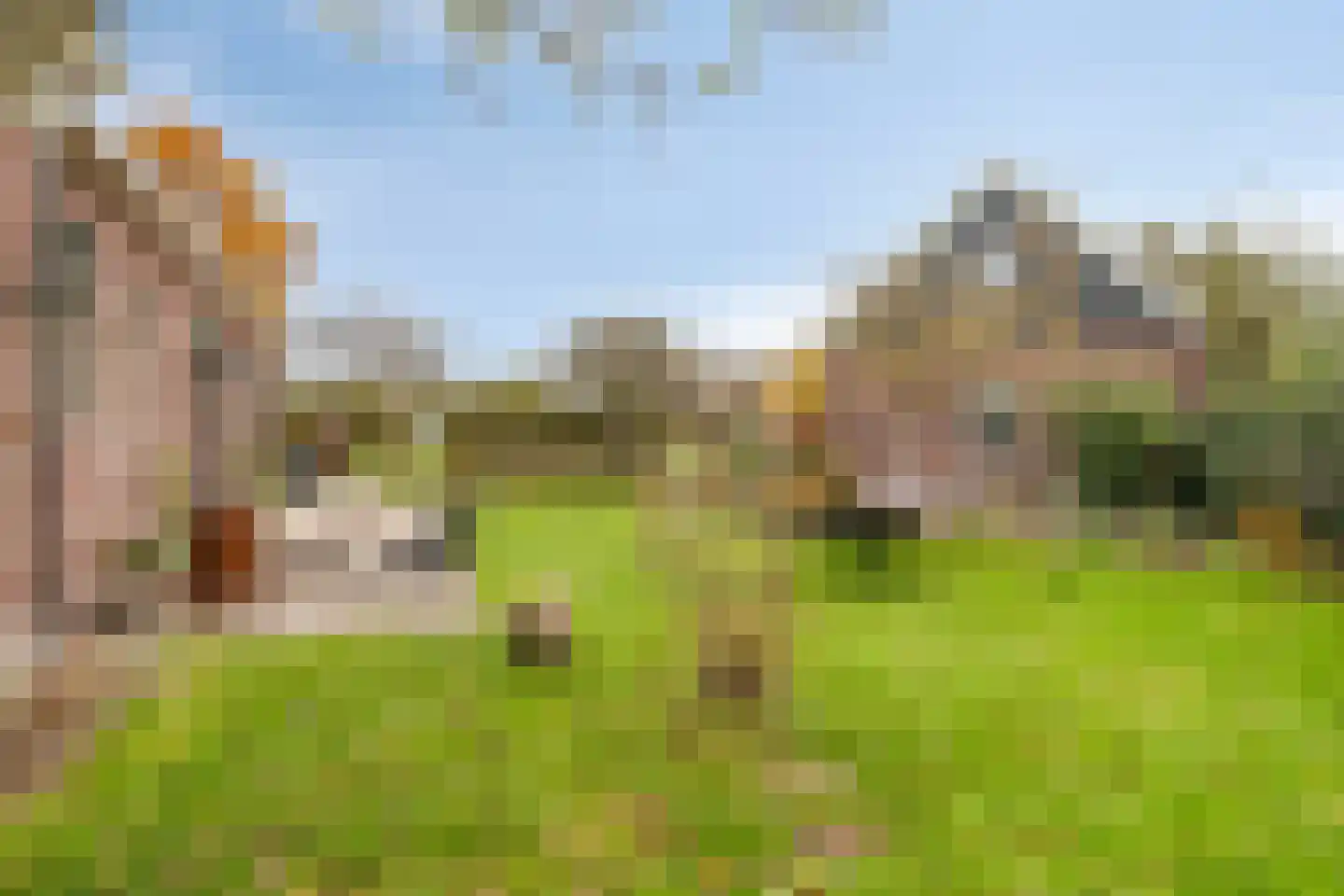 Kloosterdijk 8 F Monnickendam thumbnail 6