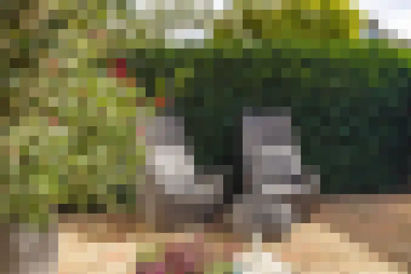 Kloosterdreef 1 Huijbergen thumbnail 104