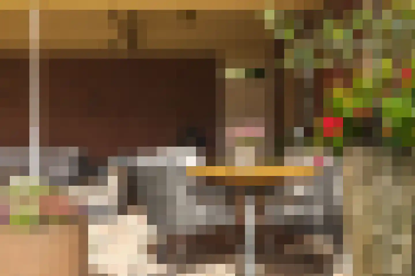 Kloosterdreef 1 Huijbergen thumbnail 107