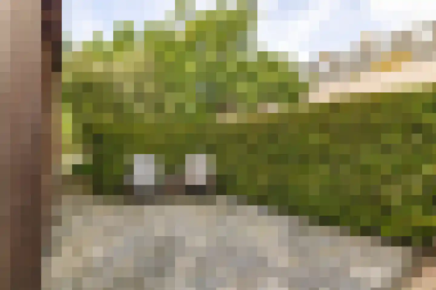Kloosterdreef 1 Huijbergen thumbnail 108