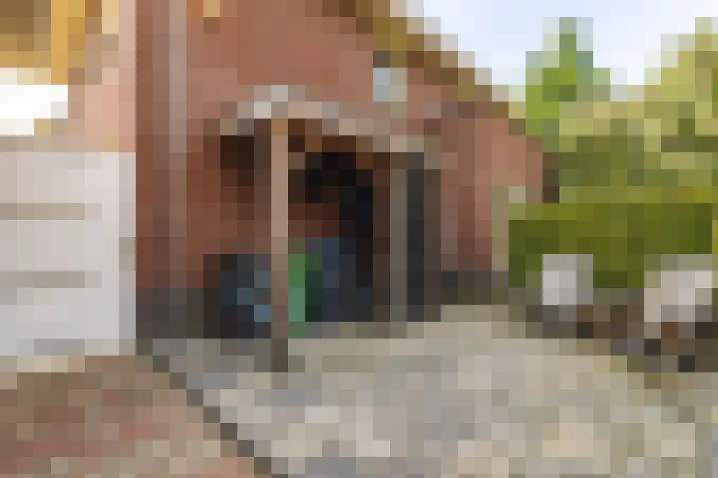 Kloosterdreef 1 Huijbergen thumbnail 109