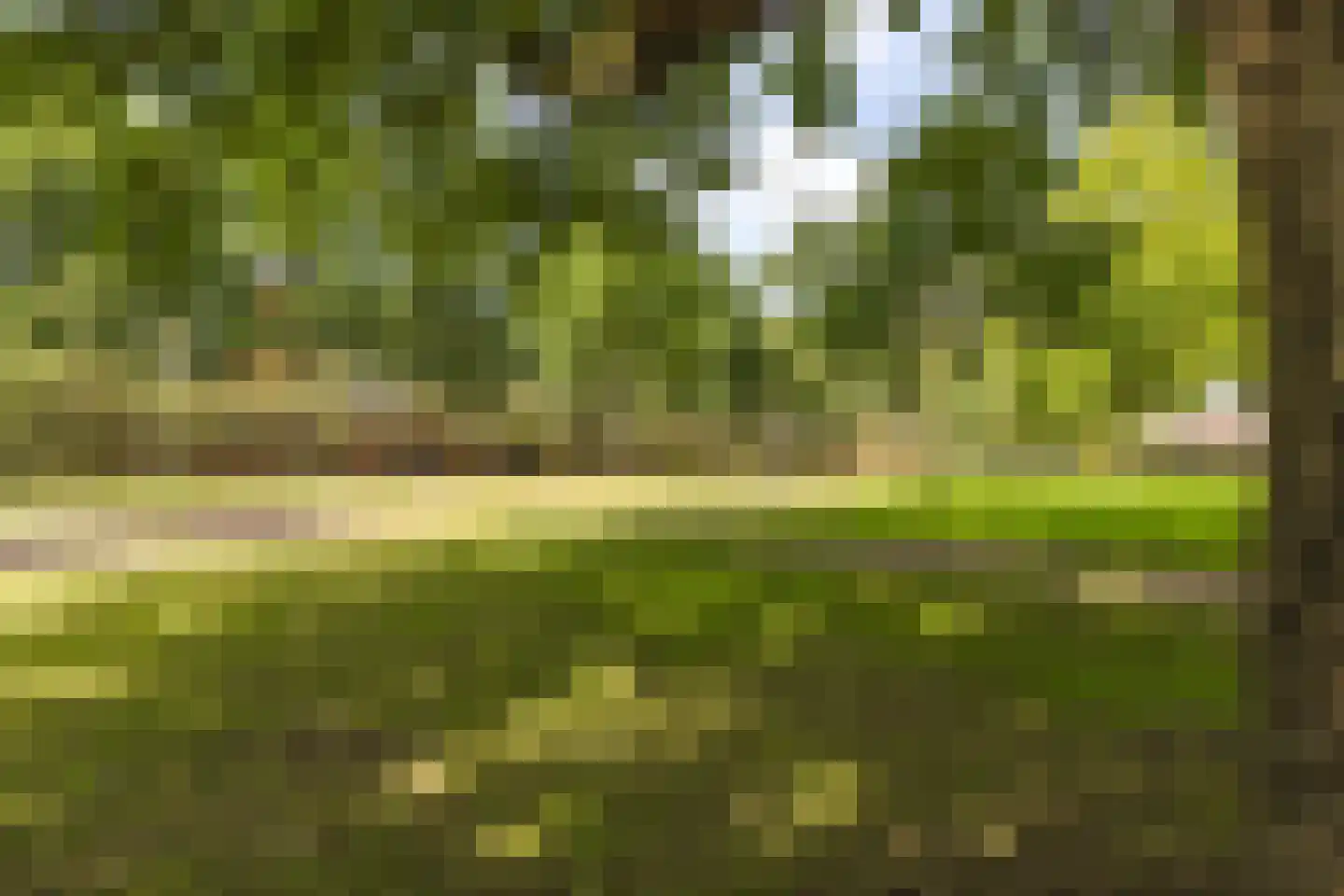Kloosterdreef 1 Huijbergen thumbnail 111