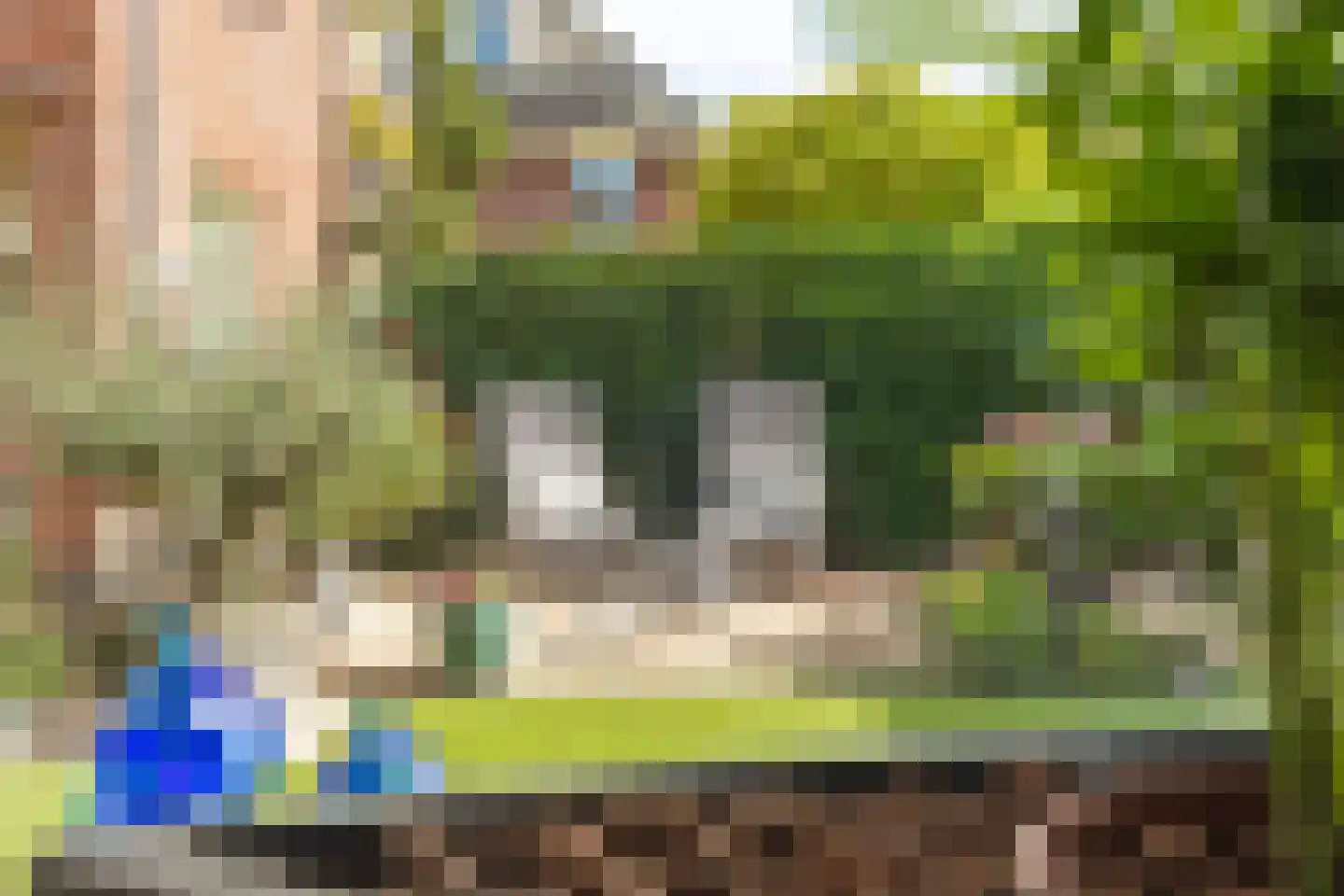 Kloosterdreef 1 Huijbergen thumbnail 113