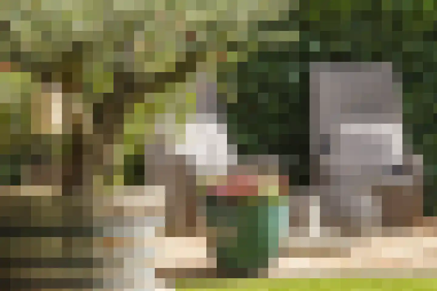 Kloosterdreef 1 Huijbergen thumbnail 116