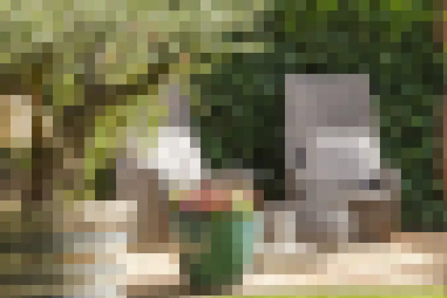 Kloosterdreef 1 Huijbergen thumbnail 117