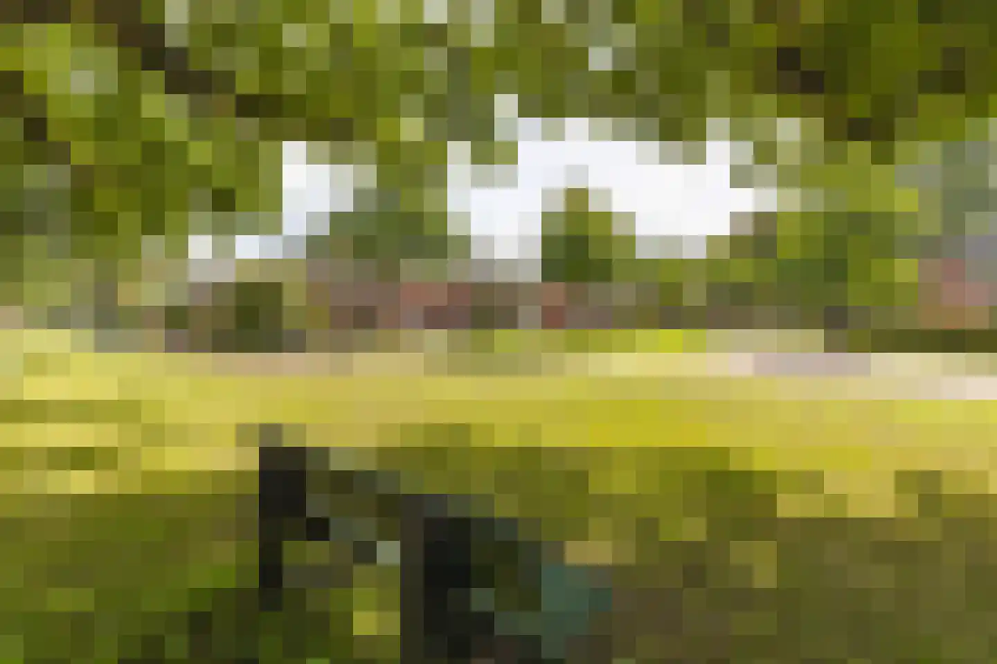 Kloosterdreef 1 Huijbergen thumbnail 121