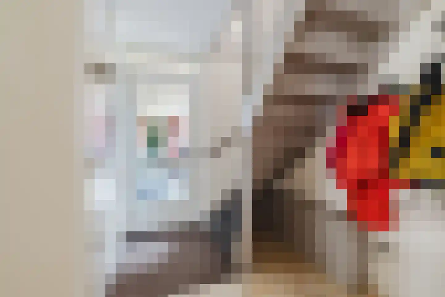 Kloosterdreef 1 Huijbergen thumbnail 4