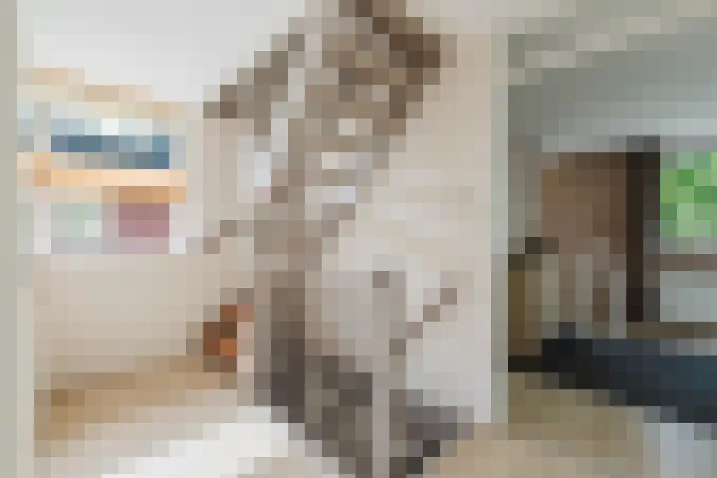 Kloosterdreef 1 Huijbergen thumbnail 46