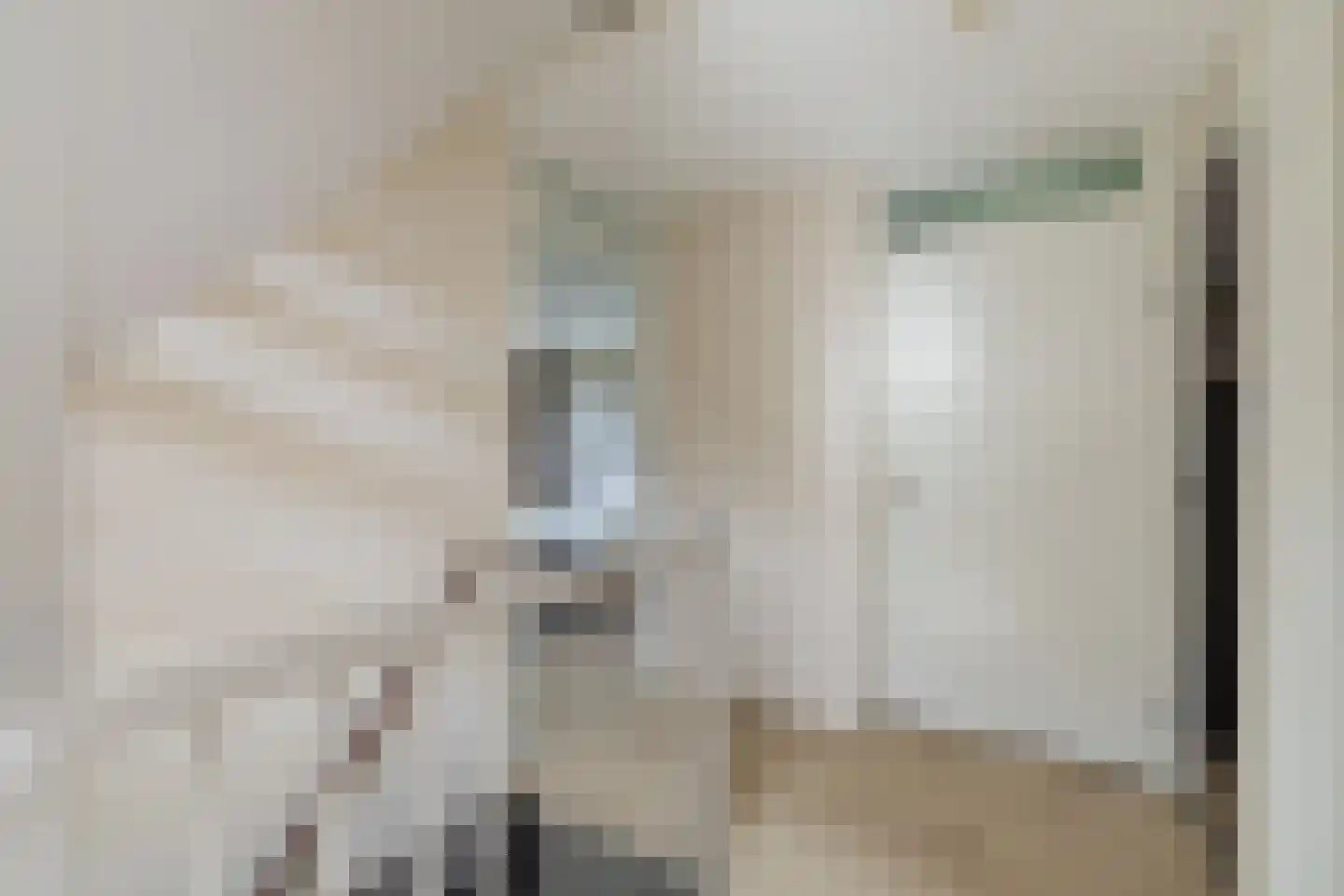 Kloosterdreef 1 Huijbergen thumbnail 47