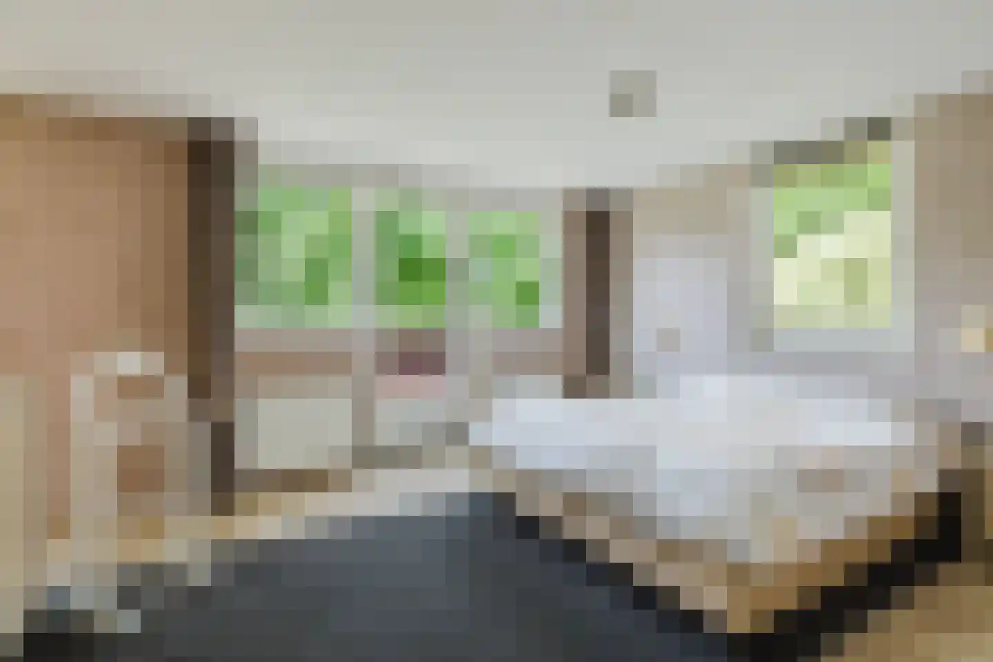 Kloosterdreef 1 Huijbergen thumbnail 49
