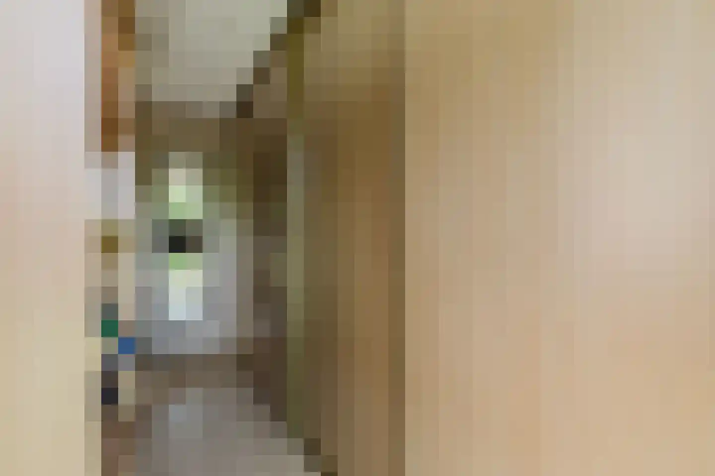 Kloosterdreef 1 Huijbergen thumbnail 52