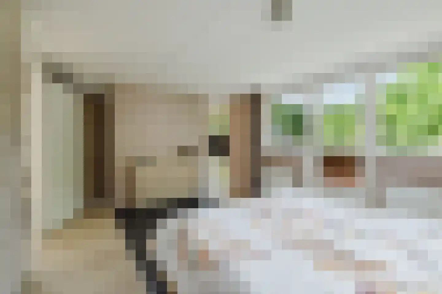 Kloosterdreef 1 Huijbergen thumbnail 54