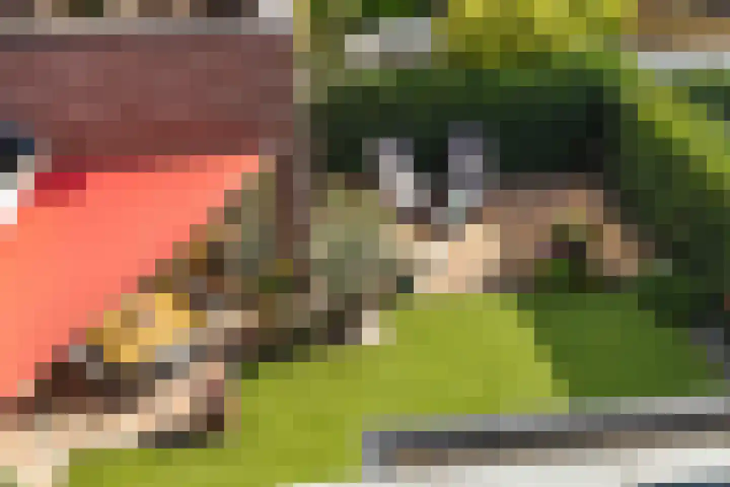 Kloosterdreef 1 Huijbergen thumbnail 79