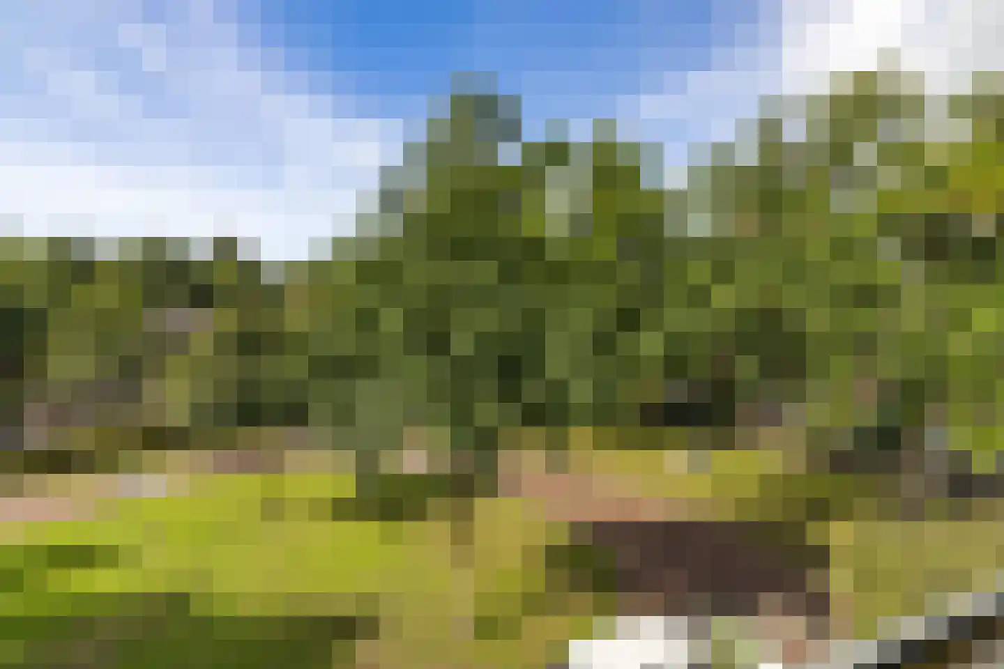 Kloosterdreef 1 Huijbergen thumbnail 83
