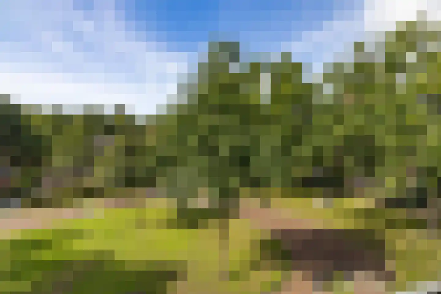 Kloosterdreef 1 Huijbergen thumbnail 85