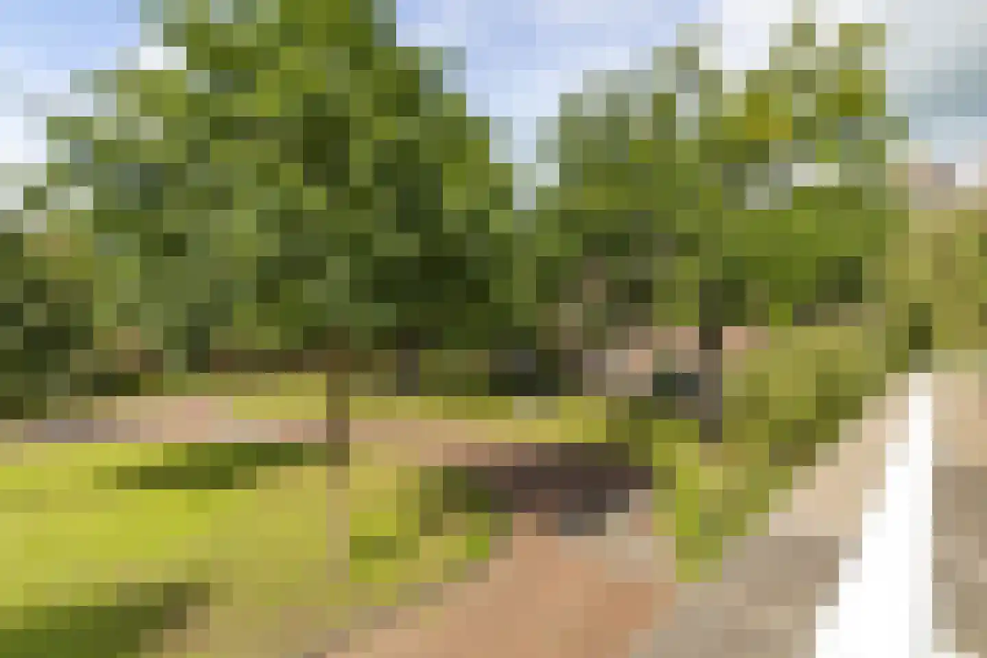 Kloosterdreef 1 Huijbergen thumbnail 87