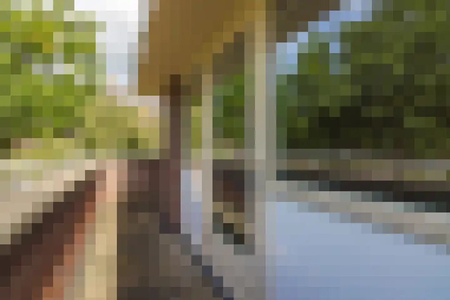 Kloosterdreef 1 Huijbergen thumbnail 88