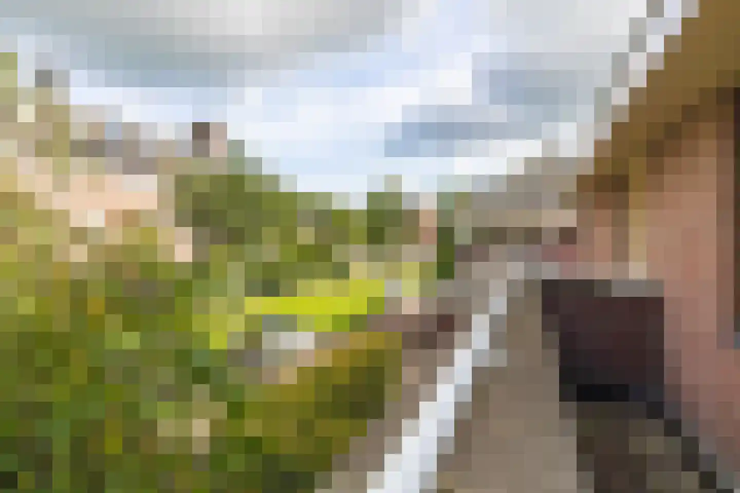 Kloosterdreef 1 Huijbergen thumbnail 89