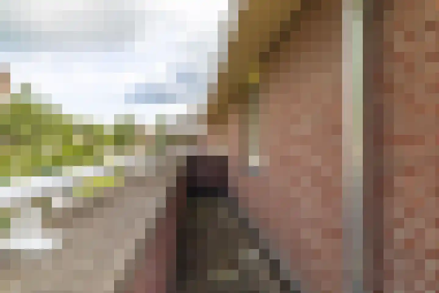 Kloosterdreef 1 Huijbergen thumbnail 91