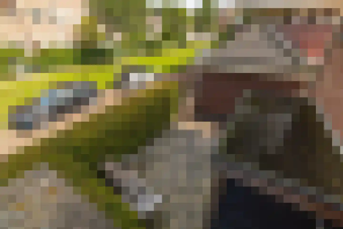 Kloosterdreef 1 Huijbergen thumbnail 92