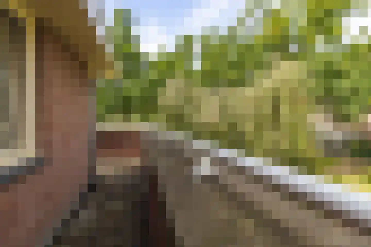 Kloosterdreef 1 Huijbergen thumbnail 93