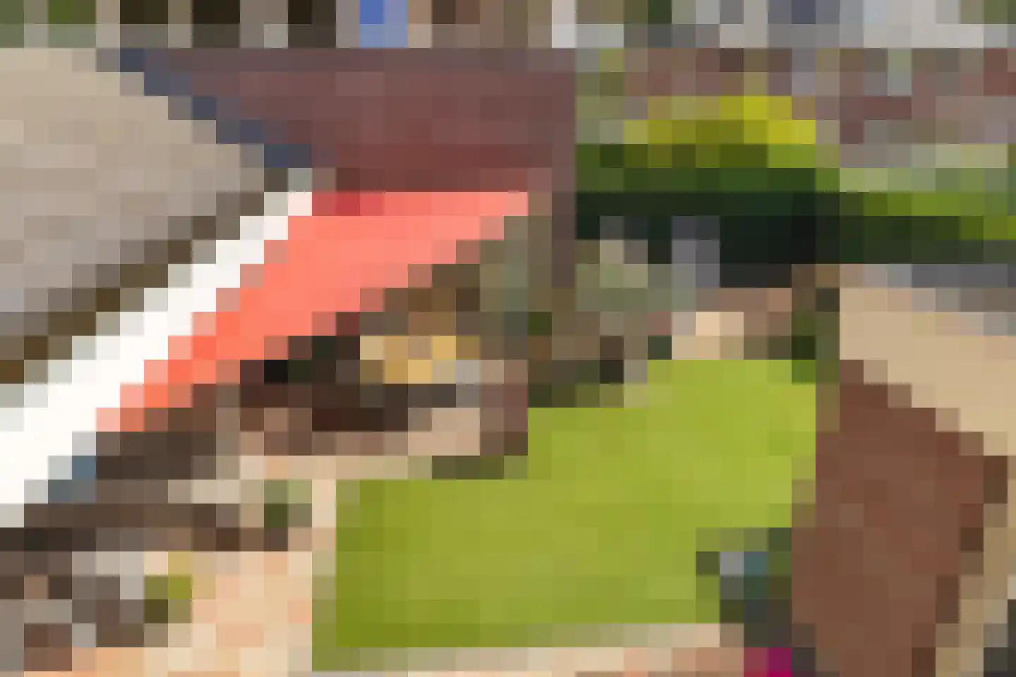 Kloosterdreef 1 Huijbergen thumbnail 94