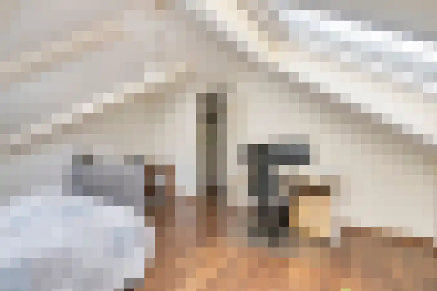 Kloosterdreef 10 Westervoort thumbnail 26