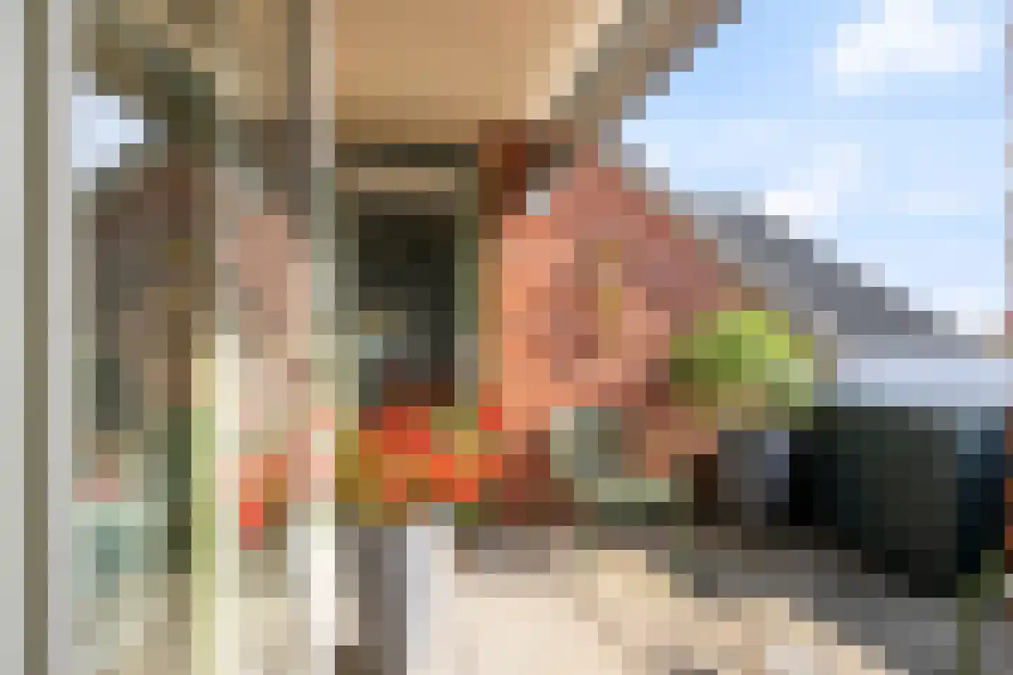 Kloosterdreef 10 Westervoort thumbnail 32