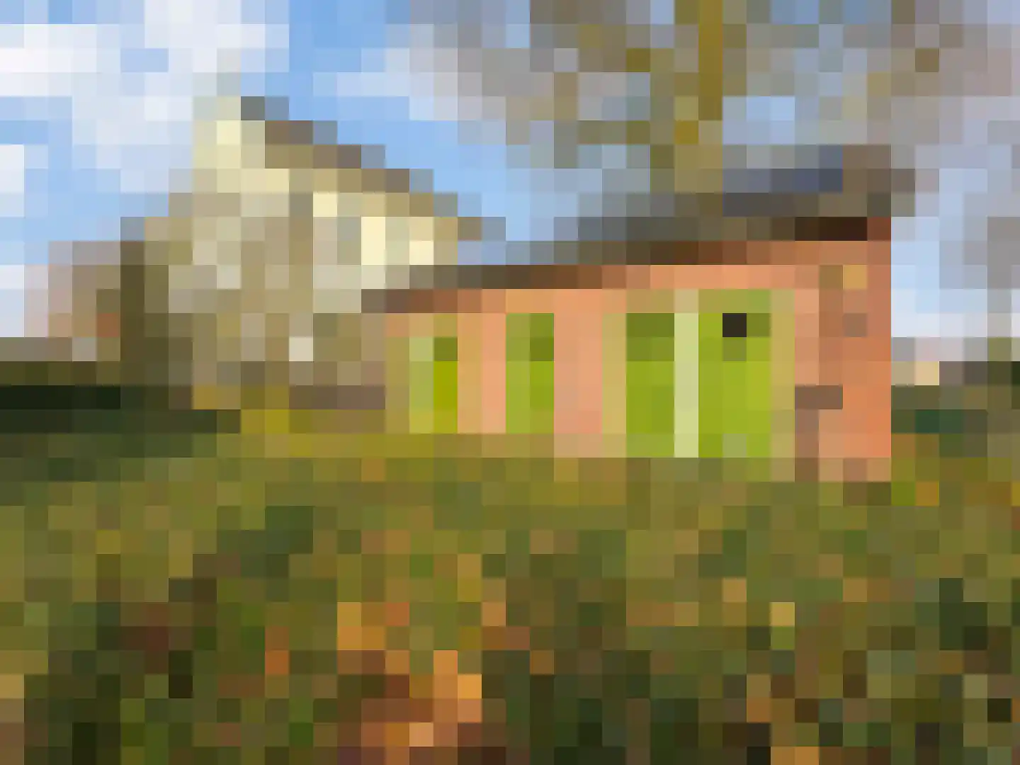 Kloosterdreef 10 Westervoort thumbnail 36