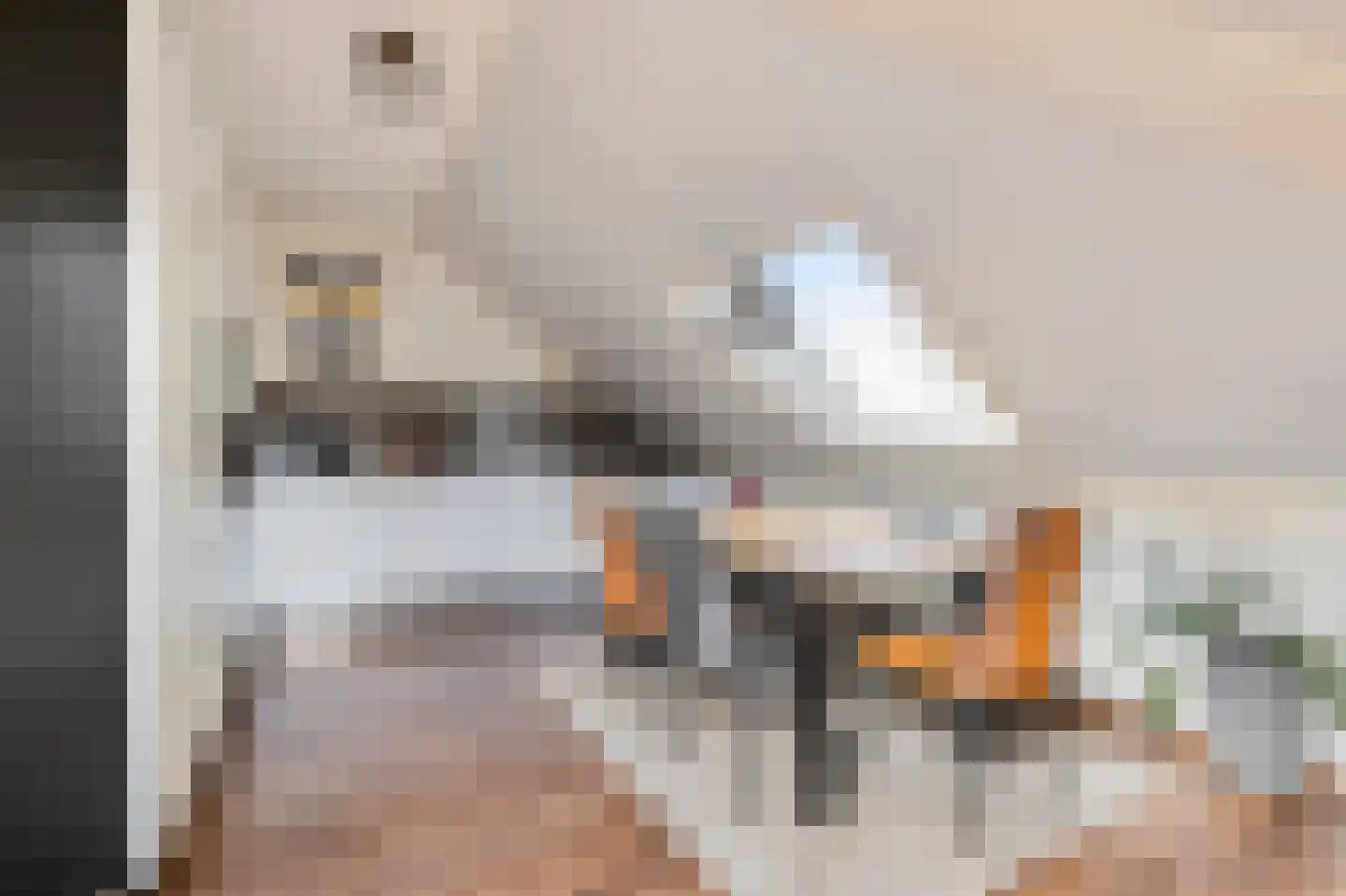 Kloosterdreef 10 Westervoort thumbnail 4