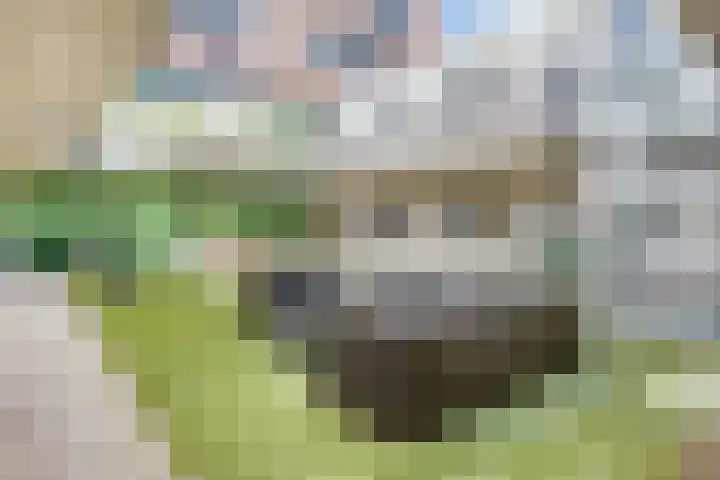 Kloosterdreef 14 Eindhoven thumbnail 13