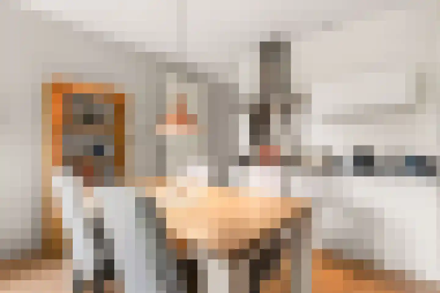 Kloosterdreef 16 A Eindhoven thumbnail 14