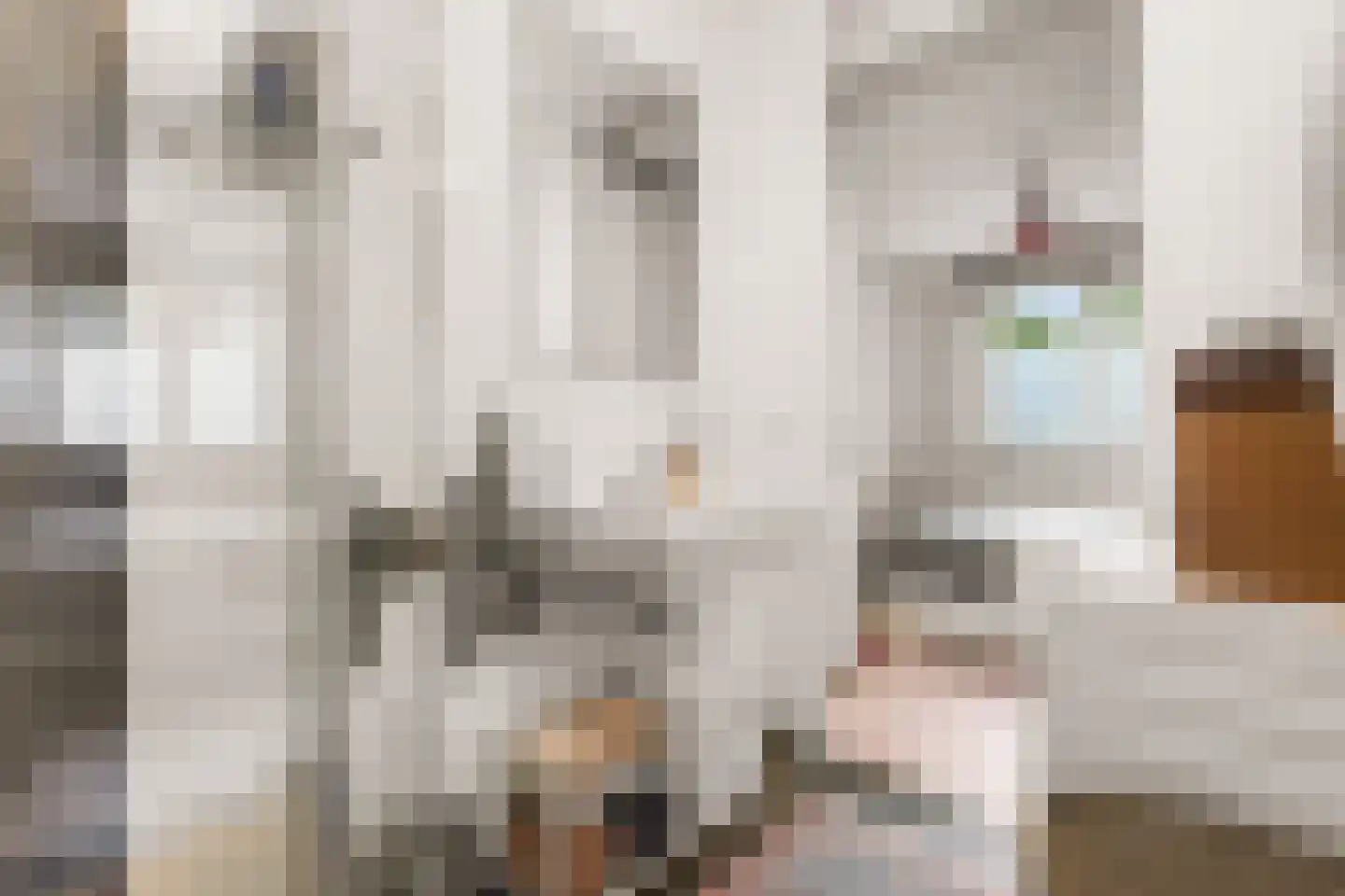 Kloosterdreef 16 A Eindhoven thumbnail 23