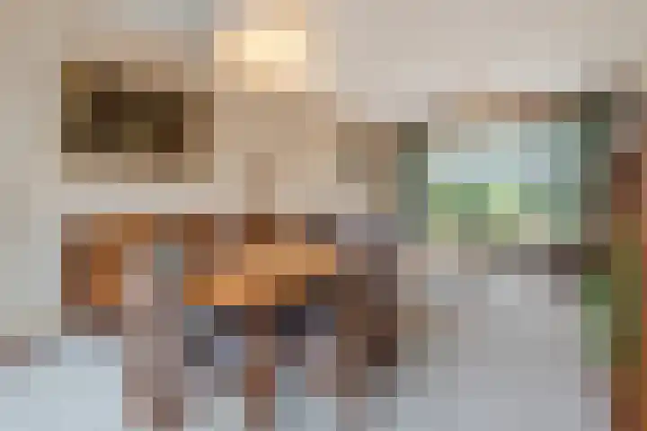 Kloosterdreef 17 Sint-Oedenrode thumbnail 13