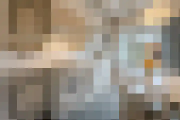 Kloosterdreef 17 Sint-Oedenrode thumbnail 19