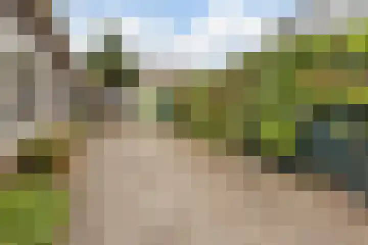 Kloosterdreef 17 Sint-Oedenrode thumbnail 40